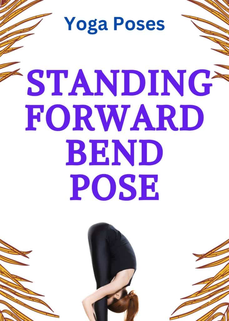 Standing Forward Bend / Canva