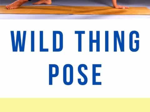 How to Wild Thing - Camatkarasana / Canva