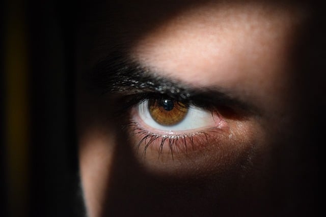 The four main types of intuition / Pixabay